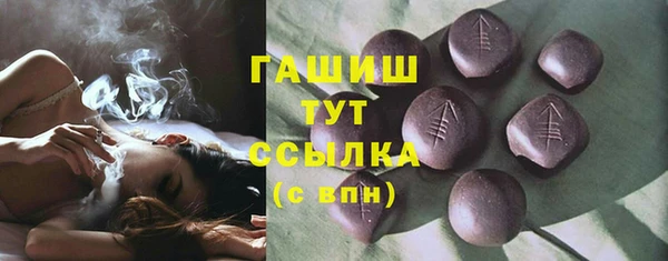 хмурый Гусь-Хрустальный