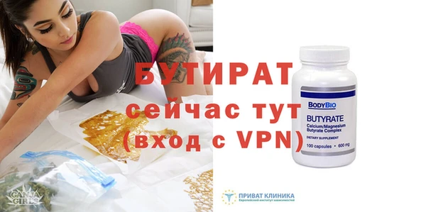 хмурый Гусь-Хрустальный
