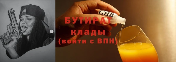 хмурый Гусь-Хрустальный