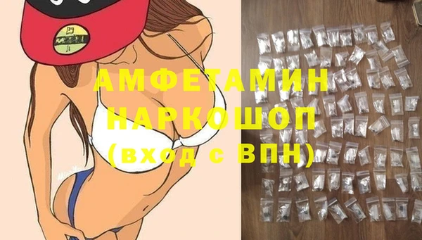 хмурый Гусь-Хрустальный