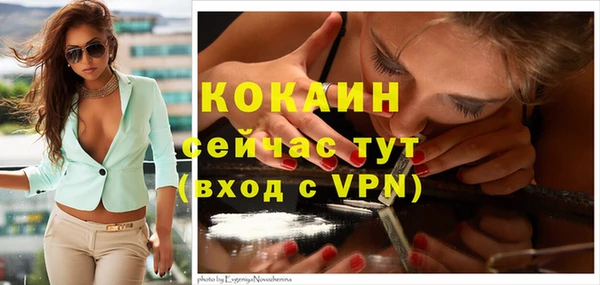 а пвп мука Гусев