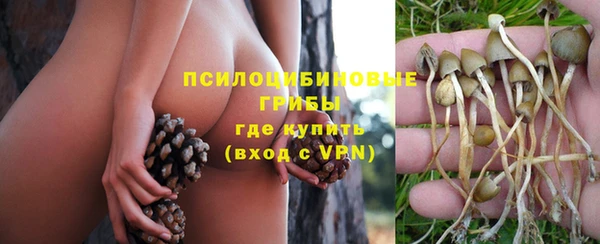 а пвп мука Гусев
