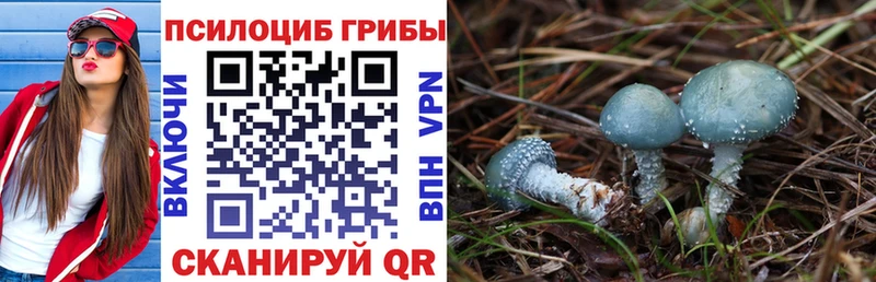 Псилоцибиновые грибы Magic Shrooms кракен вход Братск купить наркотики цена